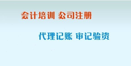 瑞豐财稅(圖)、專業(yè)代理記賬、*代理記賬