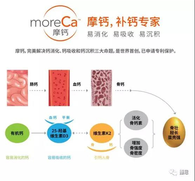 播恩蛋雞料歐洲“登機”!播恩蛋雞料暨摩鈣技術(shù)品牌歐洲發布會震撼開啟