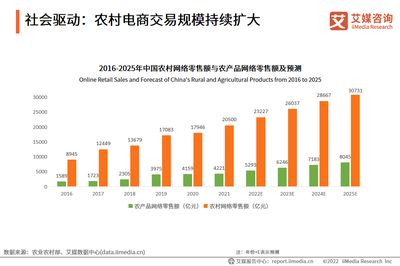 2022年中(zhōng)國鄉(xiāng)村(cūn)數字經濟:多方驅動(dòng)發展,潛力快速釋放