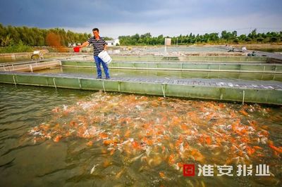 江蘇淮安:抓住“三特”産業(yè)“牛鼻子(zǐ)”,走出鄉(xiāng)村(cūn)振興特色路(lù) !